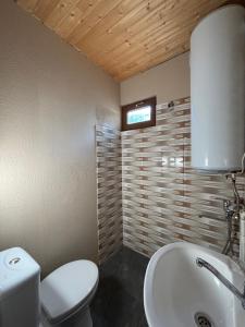卡兹贝吉Family Hostel Nika的浴室配有白色卫生间和盥洗盆。