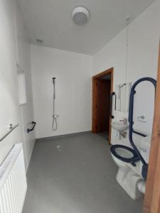 赖厄德Cwm Clyd - Carthouse的一间带卫生间和淋浴的浴室。