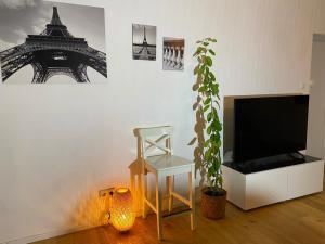 克拉根福Altbau mit Flair的一间带电视和盆栽植物的客厅