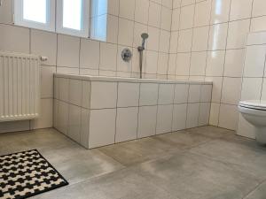 克拉根福Altbau mit Flair的带浴缸、卫生间和地毯的浴室