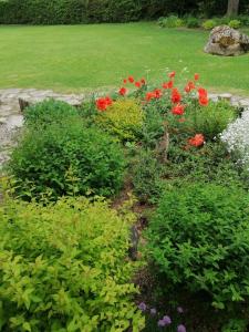 Jõesuu玫瑰河别墅酒店的种有红色花卉和绿色植物的花园