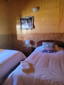 普尤瓦比港Cabañas Vientos del Sur en Puerto Puyuhuapi Aysen的一间卧室设有两张床,墙上设有一面镜子