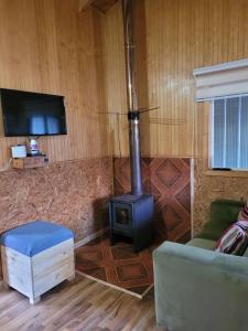 普尤瓦比港Cabañas Vientos del Sur en Puerto Puyuhuapi Aysen的客厅配有炉灶和沙发。