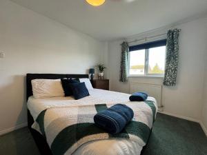 Blackwater Terrace Witham的一间卧室配有一张带蓝色枕头的床。