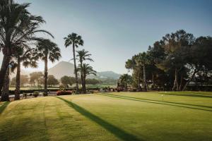 拉曼加戴尔马尔梅纳Grand Hyatt La Manga Club Golf & Spa的一座种植了棕榈树的高尔夫球场和果岭