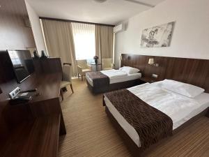 布拉迪斯拉发布拉迪斯拉发酒店 的酒店客房设有两张床和电视。