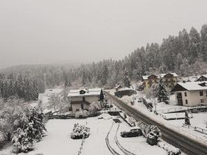 迪马罗Dolomia Apartments & Spa的一座雪覆盖的村庄,那里有火车站和树木