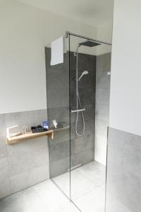 StubersheimAlbhotel Bahnhöfle的浴室里设有玻璃门淋浴
