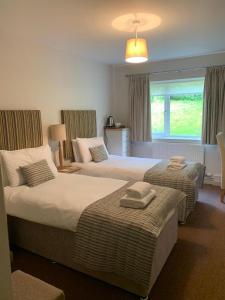 纽波特Llwyngwair Manor, Newport, PEMBROKESHIRE的酒店客房设有两张床和窗户。