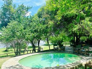 ChiawaWinterthorn Lodge的一座小游泳池,位于一个树木繁茂的庭院内