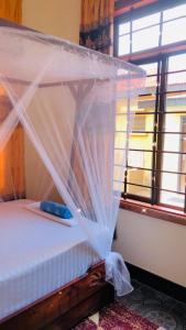 达累斯萨拉姆Jambo hostel tz的窗户客房内的一张带天蓬的床