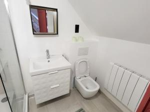 爱斯科利夫-圣卡米Les Oiseaux de Passage的白色的浴室设有水槽和卫生间。