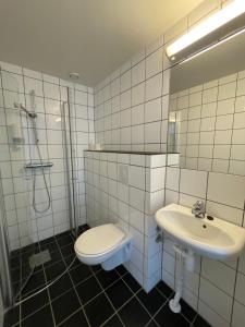 Rauland劳兰德学院青年旅馆的一间带卫生间和水槽的浴室