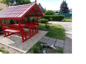 加尔多尼SZIESZTA APARTMAN的公园里的一个红色长凳,上面放着一条狗躺在草地上
