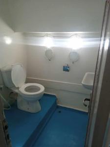 赫尔格达Dolphin house的浴室设有卫生间,墙上设有灯。