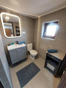 SomogyhárságyStüble Loft的一间带卫生间、水槽和镜子的浴室