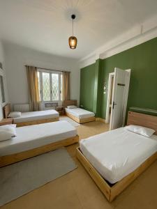 突尼斯Nomads Hostel Tunisia的一间卧室设有两张床和绿色的墙壁