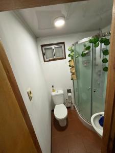 弗赖本托斯Casa roja的带淋浴、卫生间和盥洗盆的浴室