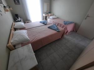 帕罗奇亚茉莉花酒店的小型客房 - 带2张床和窗户