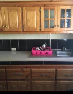 尼格瑞尔Andre's Guest House的厨房配有木制橱柜和粉红色的盥洗盆