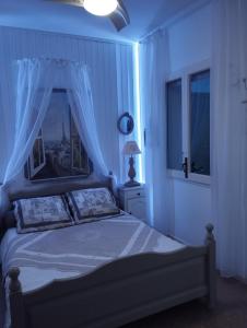 雷乌斯CHAMBRES D'HÔTES CHEZ CATHERINE A REUS chambre de Paris avec salle de bains privée的一间卧室配有一张带天蓬和窗户的床