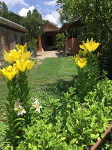 HorsHors guest house by Vanyan的一座花园,在房子前面有黄色的花朵