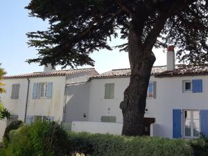 圣马丹德雷Appartement Saint-Martin-de-Ré, 3 pièces, 4 personnes - FR-1-544-20的前面有一棵树的白色房子