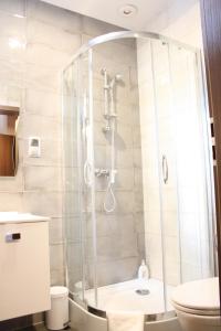 什切青因特格罗公寓的带淋浴和卫生间的浴室