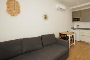 比亚努夫拉Villanubla Apartaments的一间带灰色沙发的客厅和一间厨房