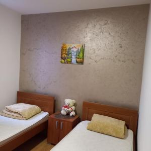 索科矿泉村Apartman Andjela的小房间设有两张床和泰迪熊