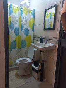 托尔图格罗Apartamentos Caimán 3的浴室设有卫生间、水槽和淋浴帘