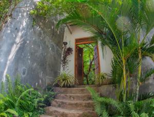 康提Inside Out Nature Villa的通往植物之家的楼梯
