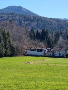 希格斯多夫Ferienwohnungen am Alpenrand的一片绿色的大田地,后面有房子