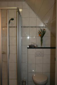 维德宁Wallfahrtswirt的一间带卫生间和玻璃淋浴间的浴室