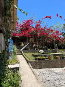 蒙蒂达斯加梅莱拉斯Paradise Camp的花园种有红色的鲜花,设有桌子和长凳