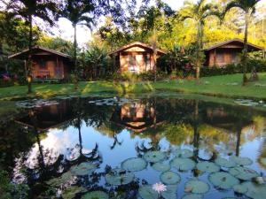 比加瓜Rincon Verde的一个带池塘和小屋的花园
