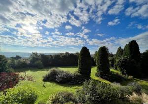 佩恩斯威克Perfect Cotswold Home with vast stunning Ground's的一片云天的田野里,一群树木