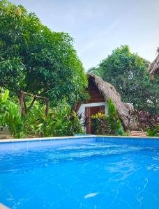 埃尔扎伊诺ECO-Hotel Amanecer Tayrona dentro del parque tayrona的度假村前带游泳池的房子