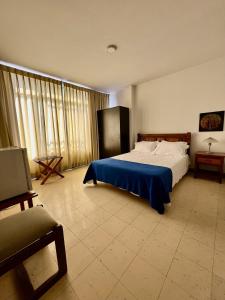 亚美尼亚Hotel Armenia Centro的一间卧室配有一张带蓝色毯子的大床