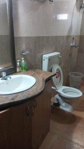 巴加Blue Flamingo Goa Apartment-Casa-Baga的一间带水槽和卫生间的浴室