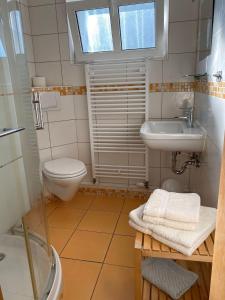 萨斯尼茨Ferienwohnung-1-in-der-Altstadt-Fam-Harder的一间带卫生间和水槽的小浴室