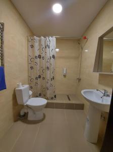 RezinaPensiunea turistică MUZE的浴室配有卫生间、盥洗盆和淋浴。