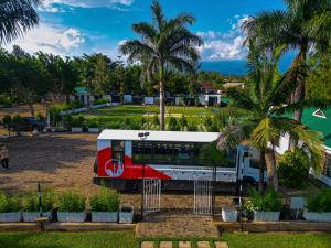 阿鲁沙Njiro Climax的停在棕榈树公园里的公共汽车