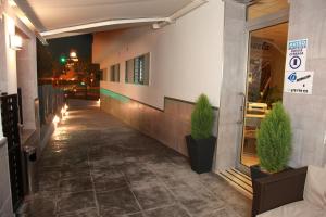 马拉加曼纽拉太太旅馆的两棵盆栽植物的建筑走廊