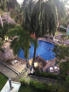 伊斯塔帕Suit Junior Emano 410的棕榈树度假村的游泳池景
