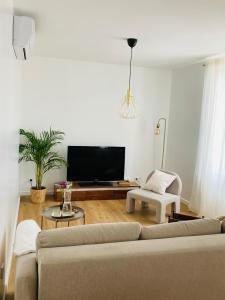 马恩河畔莱佩尔勒Luxury flat near Paris & Disney的带沙发和平面电视的客厅