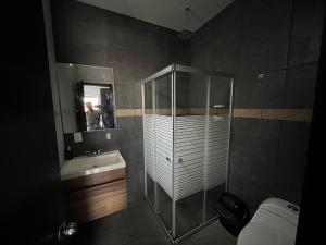 SayulaSayula luxury apartments的带淋浴、盥洗盆和卫生间的浴室
