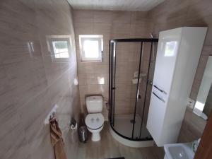 杰泽扎尼Domki nad morzem i jeziorem的浴室配有卫生间、淋浴和盥洗盆。