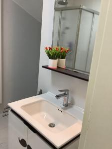 梅尔施Sanhe的一个带水槽和两朵鲜花的架子浴室