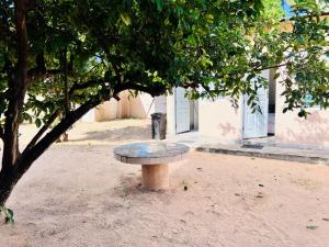伊尼扬巴内Casa para Férias的坐在建筑物旁边的树下的一个长凳